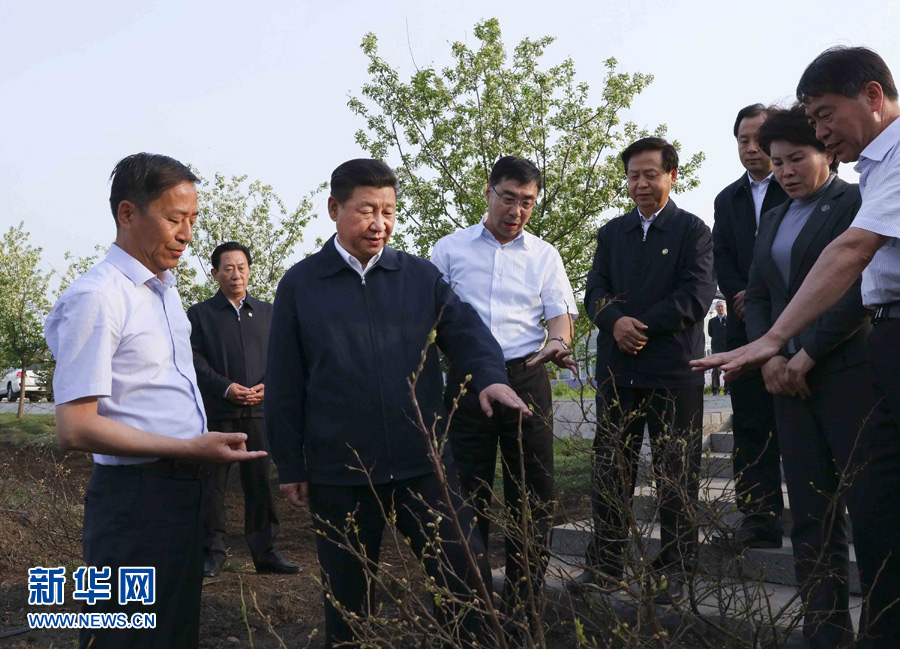 5月23日至25日,中共中央总书记、国家主席、中央军委主席习近平在黑龙江考察调研。这是5月23日下午,习近平在伊春友好林业局万亩蓝莓产业园察看蓝莓种植情况。 新华社记者 兰红光 摄