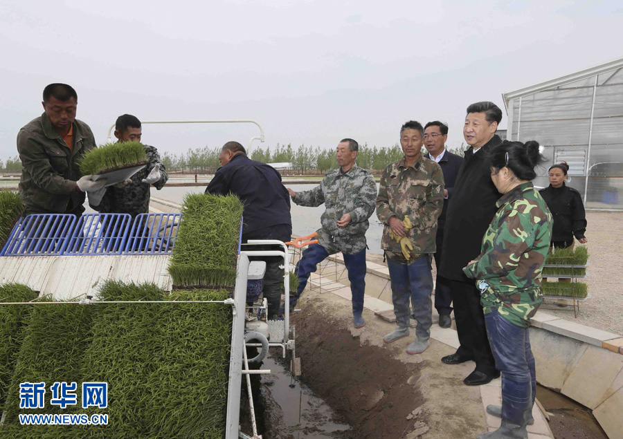 5月23日至25日,中共中央总书记、国家主席、中央军委主席习近平在黑龙江考察调研。这是5月24日上午,习近平在抚远市玖成水稻种植合作社察看机械插秧。 新华社记者 兰红光 摄