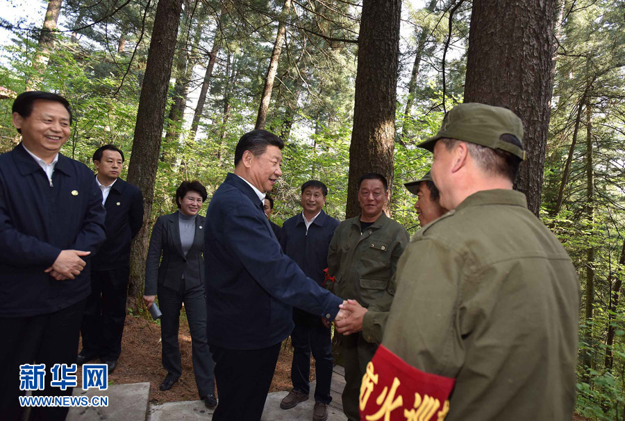 5月23日至25日,中共中央总书记、国家主席、中央军委主席习近平在黑龙江考察调研。这是5月23日下午,习近平在上甘岭林业局溪水国家森林公园视察时,叮嘱林场工作人员一定要把森林资源保护好。 新华社记者 李涛 摄