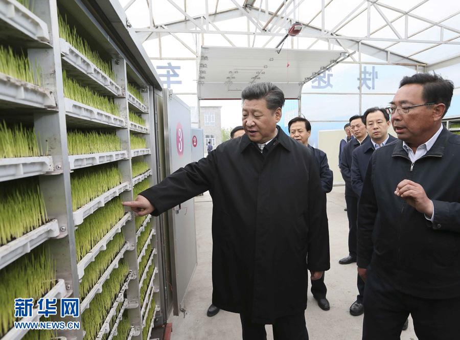 5月23日至25日,中共中央总书记、国家主席、中央军委主席习近平在黑龙江考察调研。这是5月24日上午,习近平在抚远市玖成水稻种植合作社了解箱式快速育秧技术流程。 新华社记者 兰红光 摄